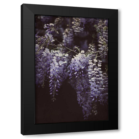 Wisteria Cascade II Black Modern Wood Framed Art Print with Double Matting by Urquhart, Elizabeth