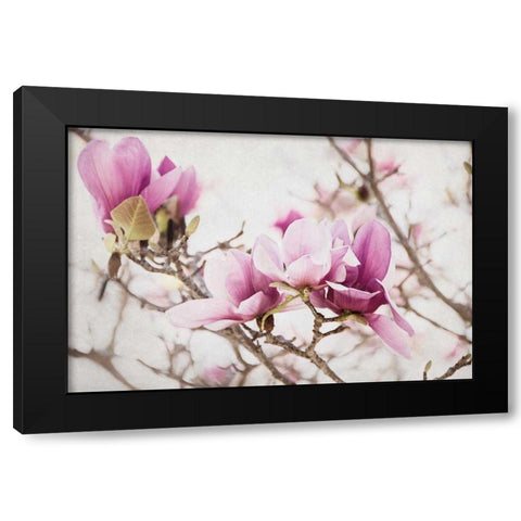 Spring is In the Air III Black Modern Wood Framed Art Print with Double Matting by Urquhart, Elizabeth