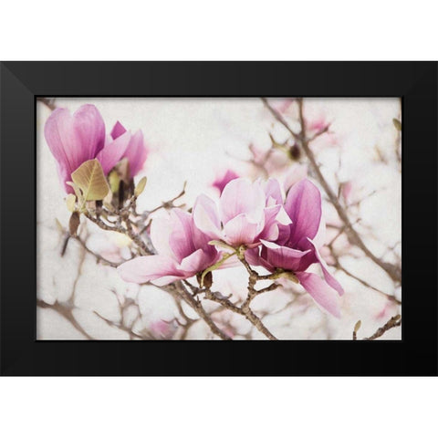 Spring is In the Air III Black Modern Wood Framed Art Print by Urquhart, Elizabeth