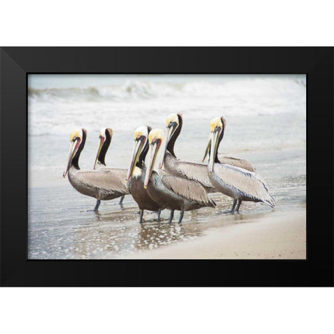 Pacific Cool IV Crop Black Modern Wood Framed Art Print by Urquhart, Elizabeth