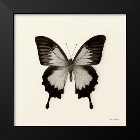 Butterfly III BW Crop Black Modern Wood Framed Art Print by Van Swearingen, Debra