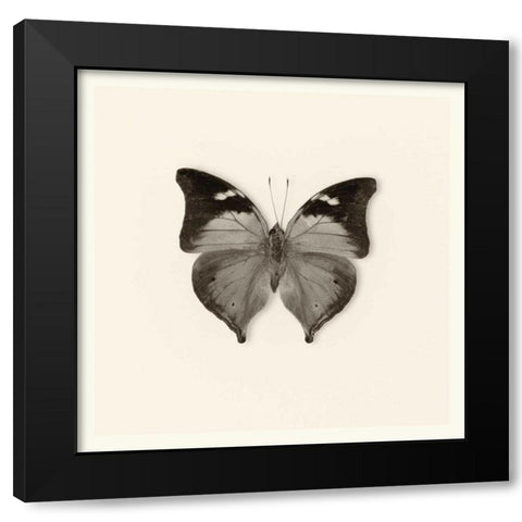 Pela Studio Black Modern Wood Framed Art Print with Double Matting by Van Swearingen, Debra