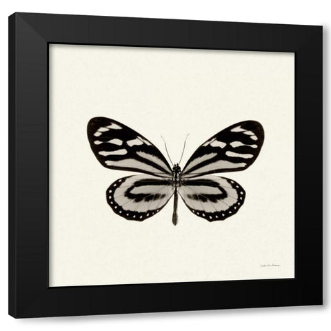 Butterfly VIII BW Crop Black Modern Wood Framed Art Print with Double Matting by Van Swearingen, Debra