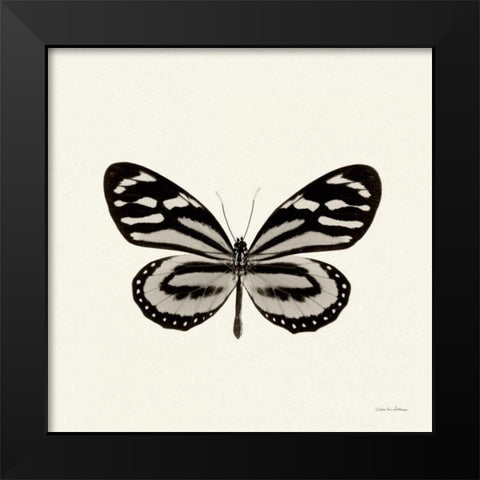Butterfly VIII BW Crop Black Modern Wood Framed Art Print by Van Swearingen, Debra