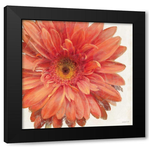 Vivid Daisy Black Modern Wood Framed Art Print by Nai, Danhui