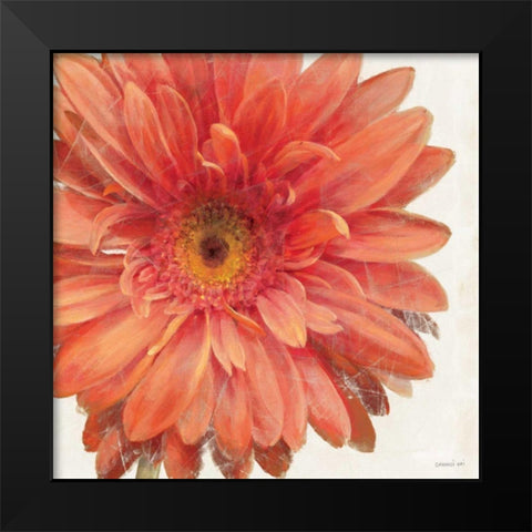 Vivid Daisy Black Modern Wood Framed Art Print by Nai, Danhui