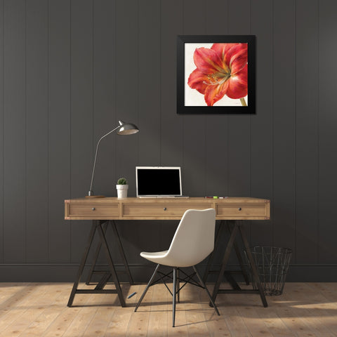 Vivid Amaryllis Black Modern Wood Framed Art Print by Nai, Danhui