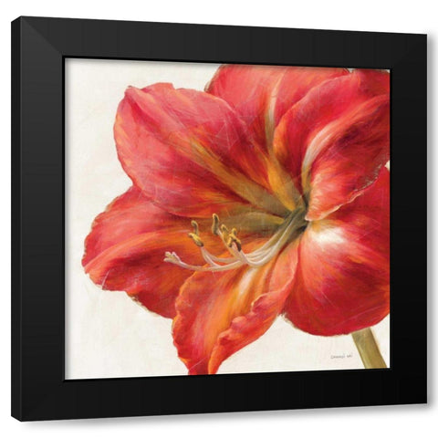 Vivid Amaryllis Black Modern Wood Framed Art Print by Nai, Danhui