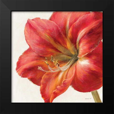 Vivid Amaryllis Black Modern Wood Framed Art Print by Nai, Danhui