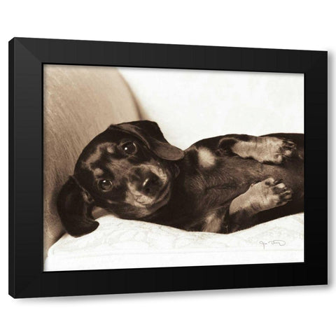 Dachshund Diva Black Modern Wood Framed Art Print by Dratfield, Jim
