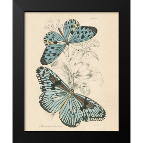 Assortment Butterflies II Black Modern Wood Framed Art Print by Wild Apple Portfolio