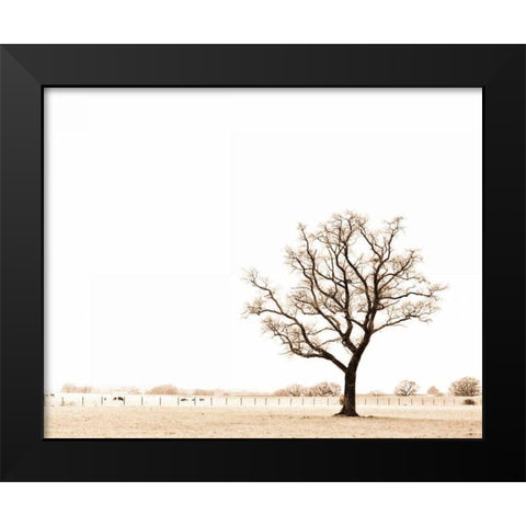 Bleached Bones of Winter Black Modern Wood Framed Art Print by Bevan, Keri