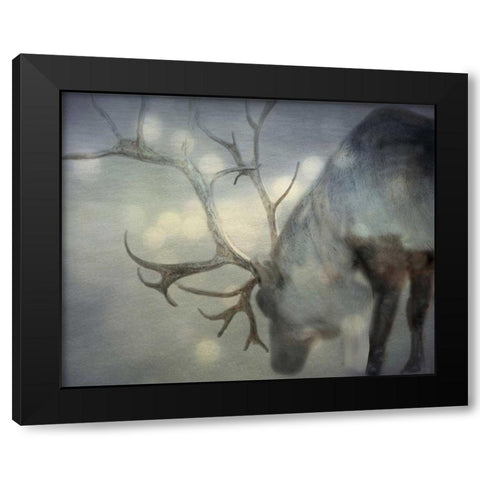 If On A Winters Night Black Modern Wood Framed Art Print with Double Matting by Bevan, Keri