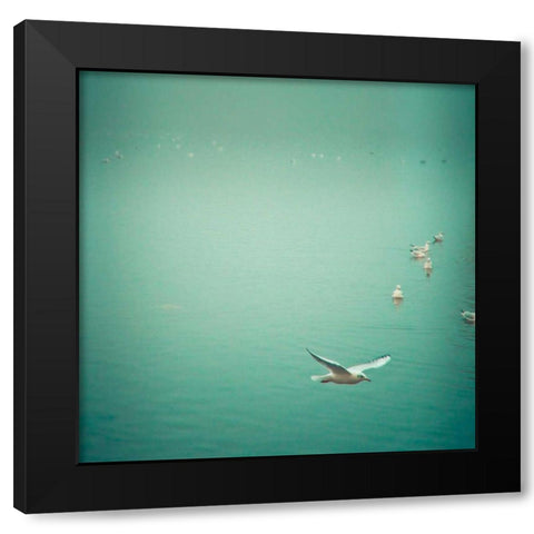 Soul Birds Black Modern Wood Framed Art Print with Double Matting by Bevan, Keri
