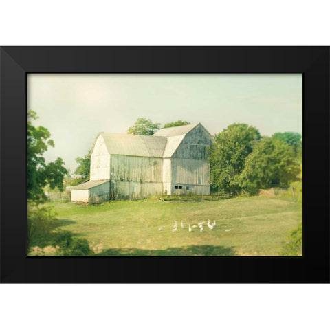 Farm Morning III Square Black Modern Wood Framed Art Print by Schlabach, Sue