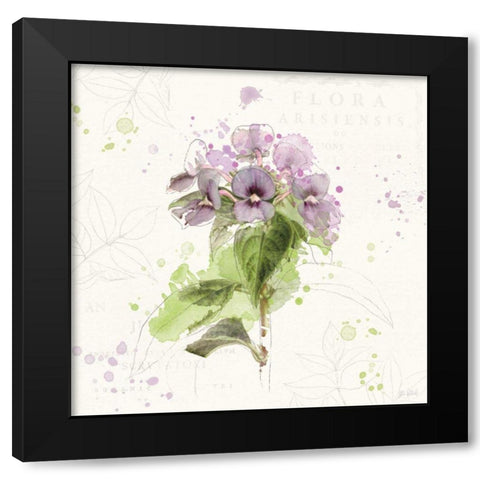 Floral Splash III Black Modern Wood Framed Art Print with Double Matting by Pertiet, Katie