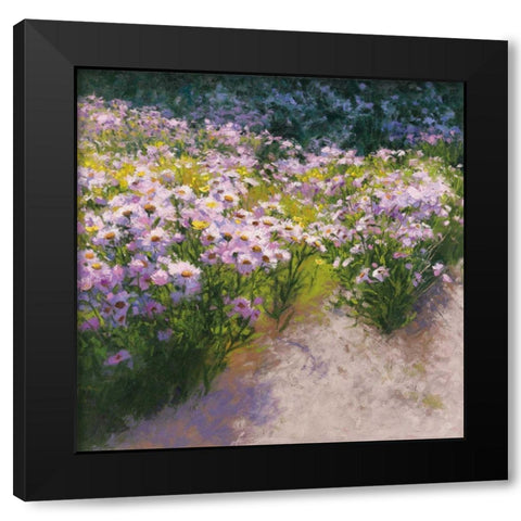 Buckhorn Aster Show Black Modern Wood Framed Art Print by Novak, Shirley