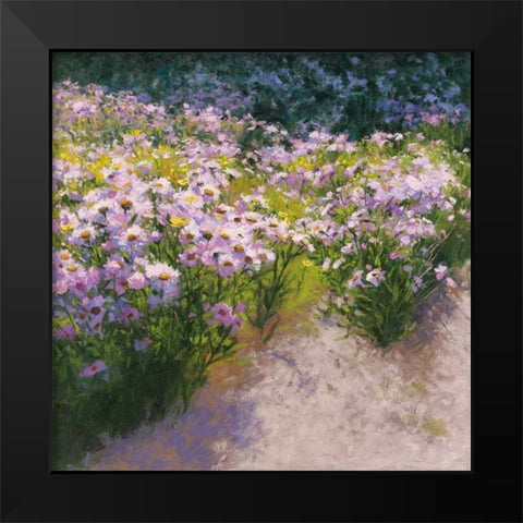 Buckhorn Aster Show Black Modern Wood Framed Art Print by Novak, Shirley