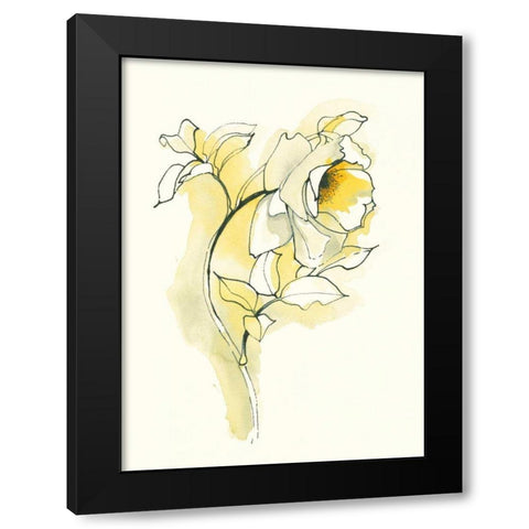 Carols Roses III Black Modern Wood Framed Art Print with Double Matting by Novak, Shirley