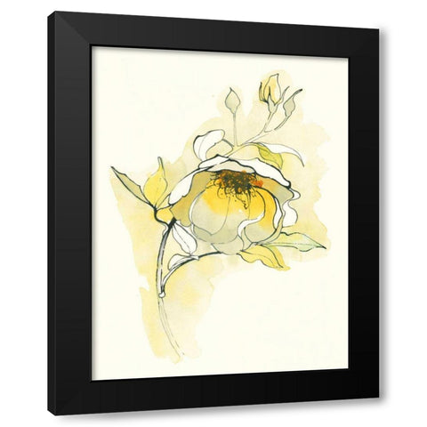 Carols Roses V Black Modern Wood Framed Art Print with Double Matting by Novak, Shirley