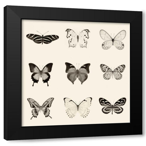 Butterfly BW 9 Patch Black Modern Wood Framed Art Print with Double Matting by Van Swearingen, Debra