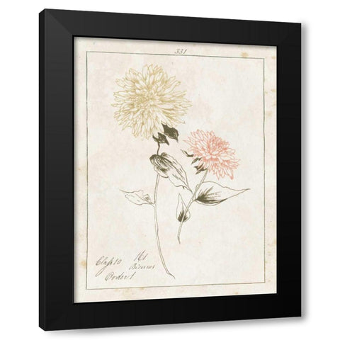 Flowers on White IV with Words Black Modern Wood Framed Art Print with Double Matting by Wild Apple Portfolio