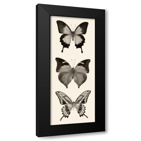 Butterfly BW Panel I Black Modern Wood Framed Art Print with Double Matting by Van Swearingen, Debra