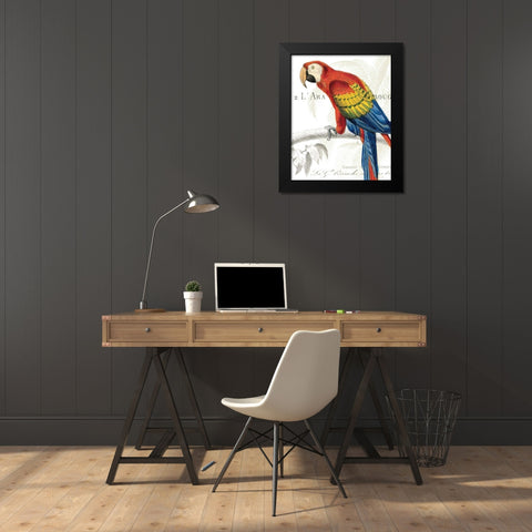 Parrot Botanique II Black Modern Wood Framed Art Print by Wild Apple Portfolio