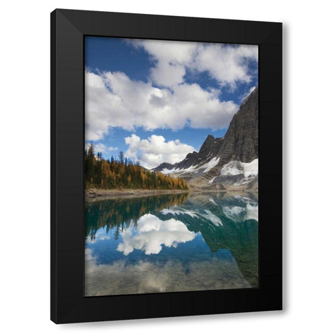 Floe Lake Reflection I Black Modern Wood Framed Art Print by Majcrowicz, Alan