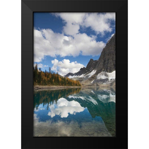 Floe Lake Reflection I Black Modern Wood Framed Art Print by Majcrowicz, Alan