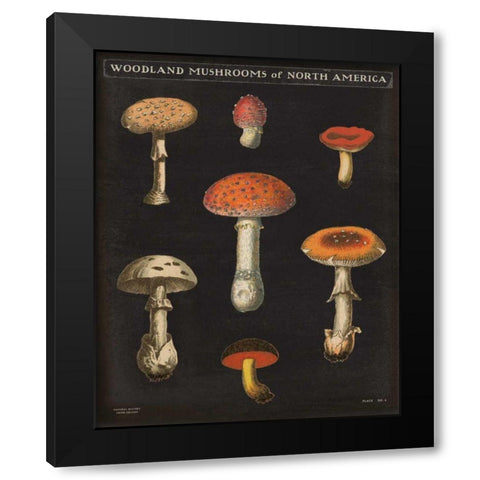 Mushroom Chart III Black Modern Wood Framed Art Print with Double Matting by Wild Apple Portfolio