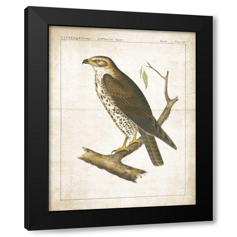 The Lookout II Black Modern Wood Framed Art Print with Double Matting by Wild Apple Portfolio