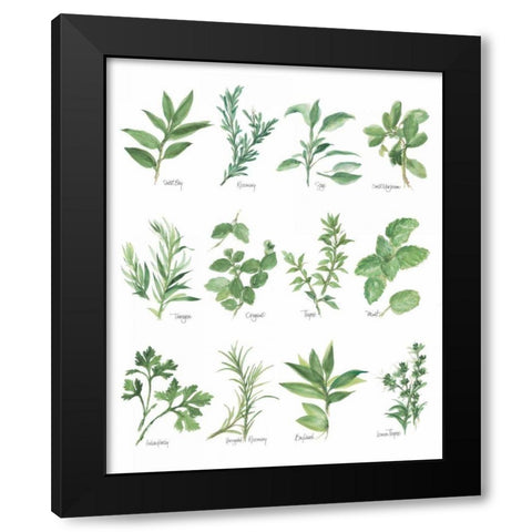 Herb Chart Black Modern Wood Framed Art Print by Paschke, Chris