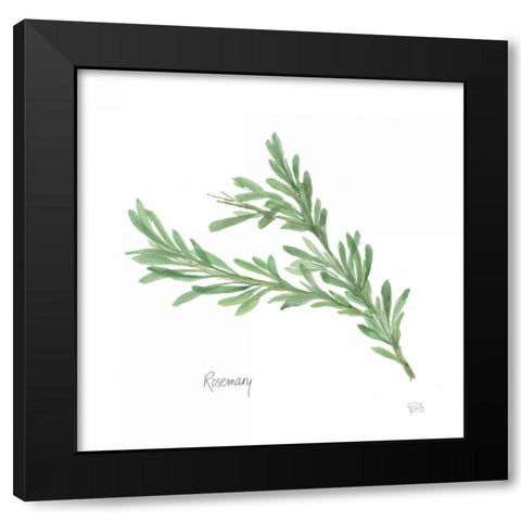 Rosemary v2 Black Modern Wood Framed Art Print by Paschke, Chris