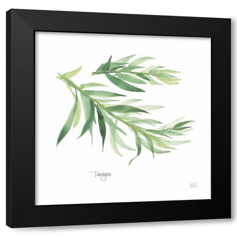 Tarragon v2 Black Modern Wood Framed Art Print with Double Matting by Paschke, Chris