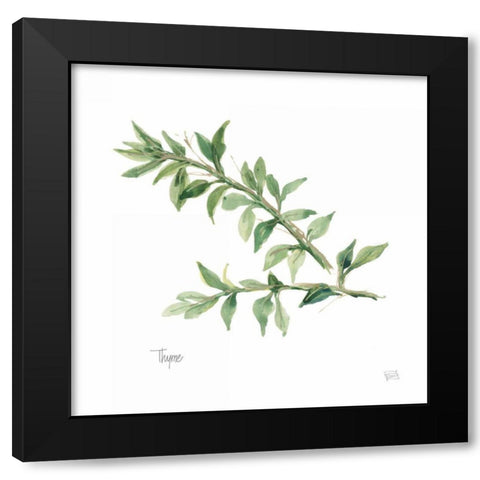 Thyme v2 Black Modern Wood Framed Art Print with Double Matting by Paschke, Chris