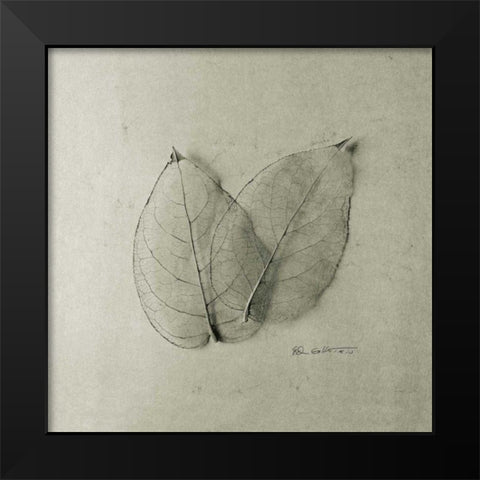 Pair of Skeleton Leaves Black Modern Wood Framed Art Print by Goldstein, Ed