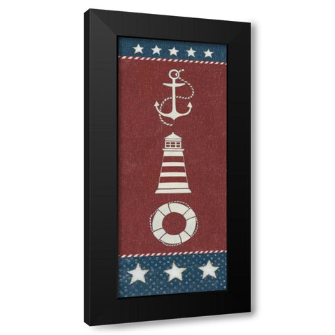 Coastal Americana Panel I Black Modern Wood Framed Art Print with Double Matting by Brown, David Carter