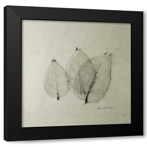 Trio of Skeleton Leaves Black Modern Wood Framed Art Print by Goldstein, Ed
