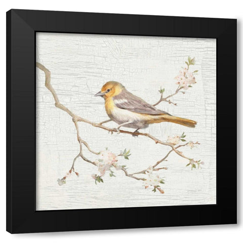 Northern Oriole Vintage Black Modern Wood Framed Art Print with Double Matting by Nai, Danhui