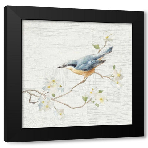 Nuthatch Vintage Black Modern Wood Framed Art Print with Double Matting by Nai, Danhui