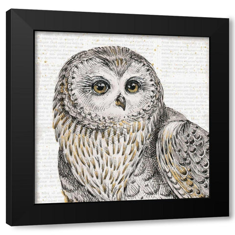 Beautiful Owls II Black Modern Wood Framed Art Print with Double Matting by Brissonnet, Daphne