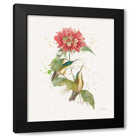 Colorful Hummingbirds I Black Modern Wood Framed Art Print with Double Matting by Pertiet, Katie
