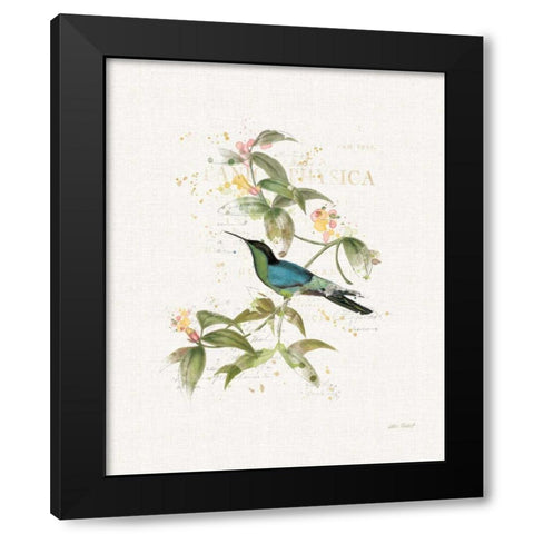 Colorful Hummingbirds IV Black Modern Wood Framed Art Print with Double Matting by Pertiet, Katie