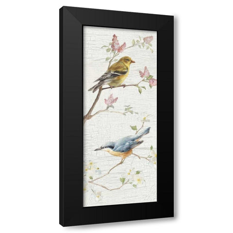 Vintage Birds Panel I Black Modern Wood Framed Art Print with Double Matting by Nai, Danhui