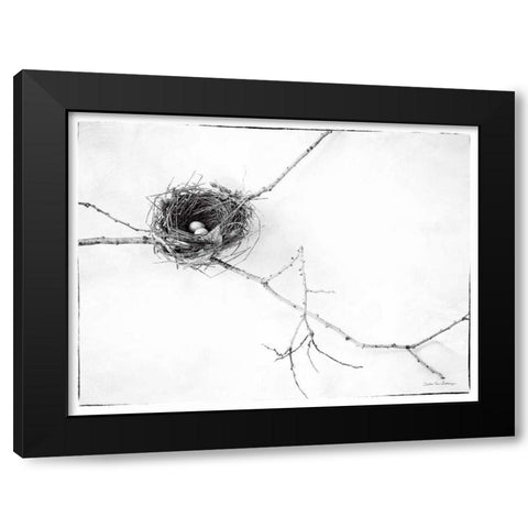 Nest and Branch I v2 Black Modern Wood Framed Art Print with Double Matting by Van Swearingen, Debra