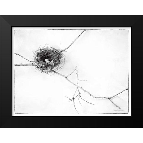 Nest and Branch I v2 Black Modern Wood Framed Art Print by Van Swearingen, Debra