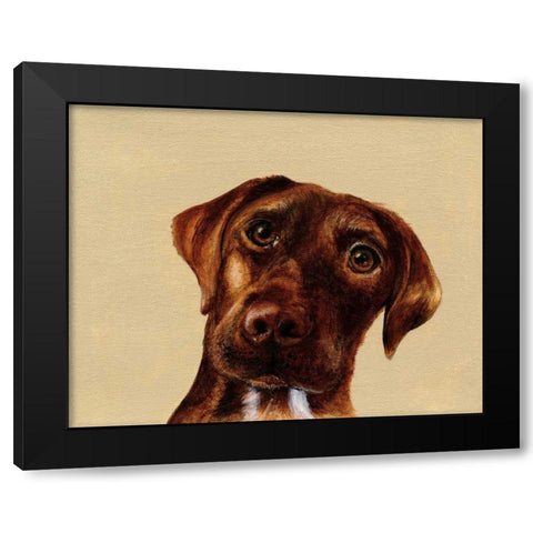 Moose Black Modern Wood Framed Art Print by Ducklow, Patsy