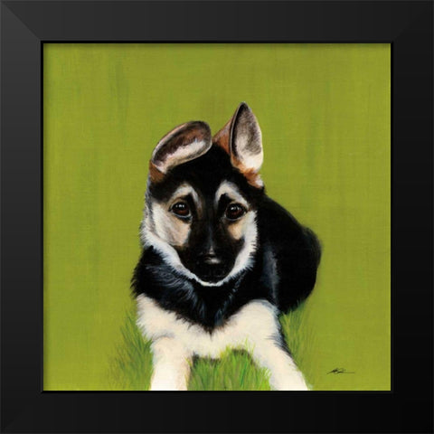 Bonelli Black Modern Wood Framed Art Print by Ducklow, Patsy