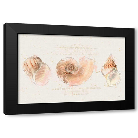 Shell Collector I Black Modern Wood Framed Art Print by Pertiet, Katie
